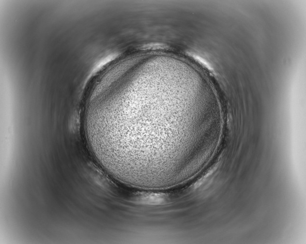 X0000087061309200705021208