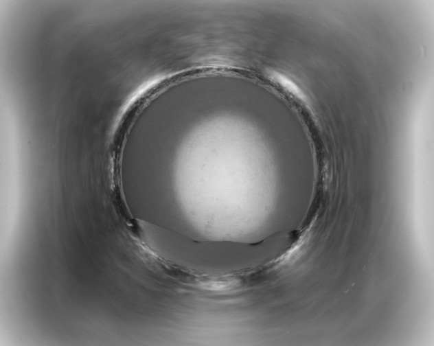 X0000087061310200705021208