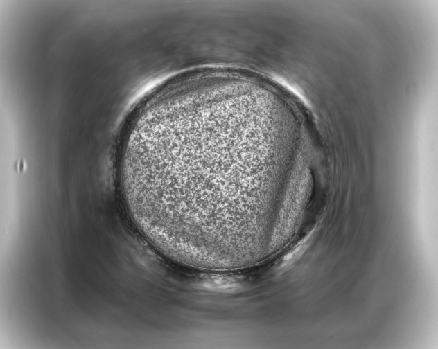 X0000087061311200705021209