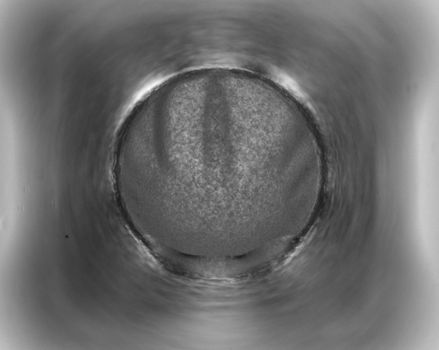 X0000087061312200705021209