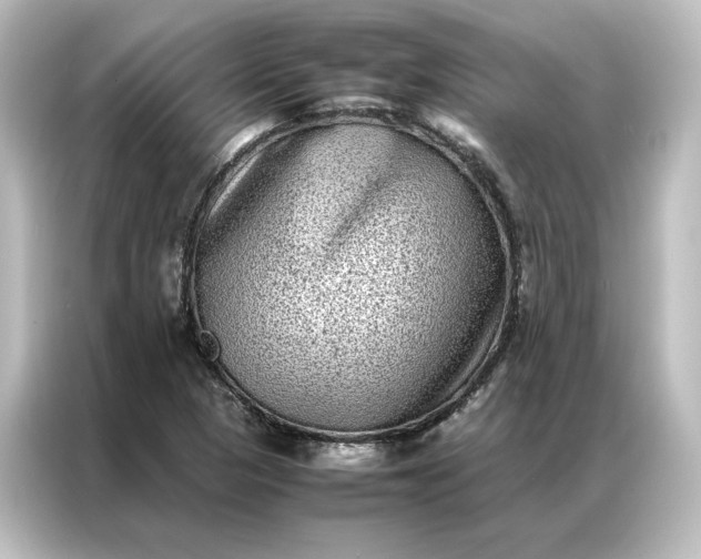 X0000087061313200705021209