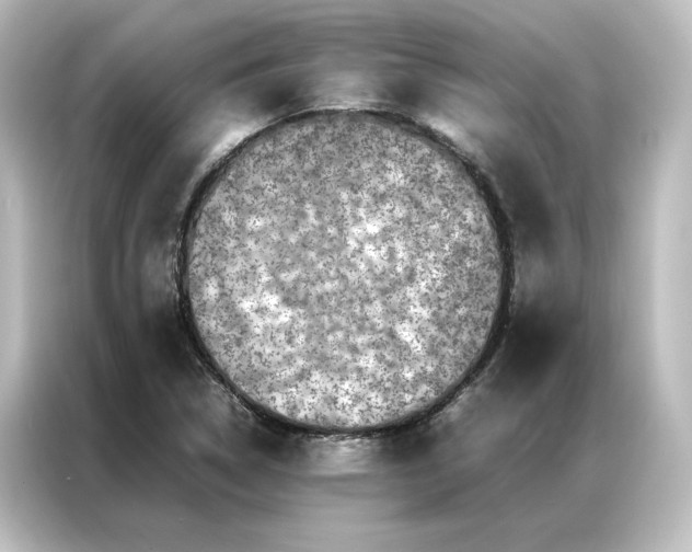 X0000087061314200705021209