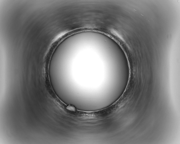 X0000087061315200705021209