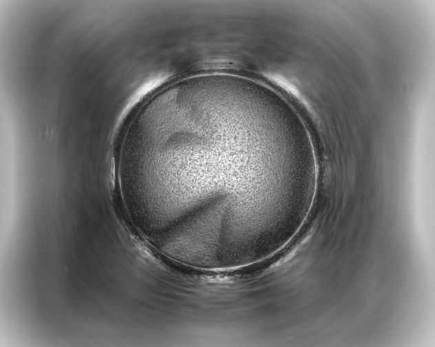 X0000087061317200705021209