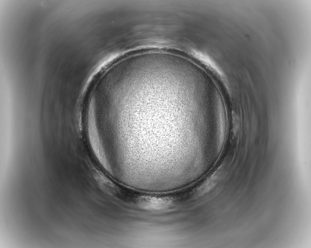 X0000087061318200705021209