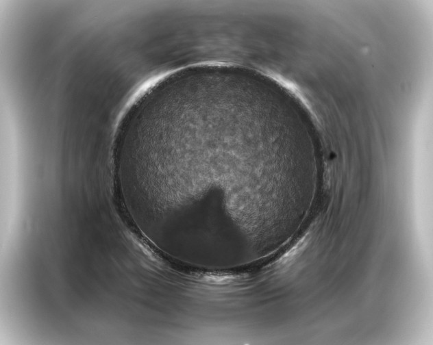 X0000087061319200705021209