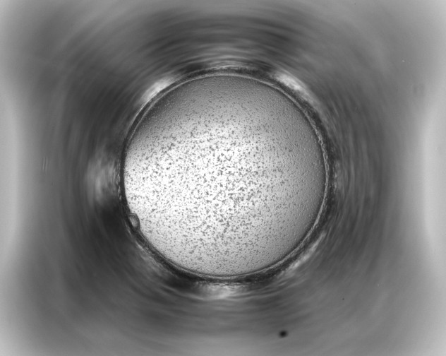 X0000087061321200705021209