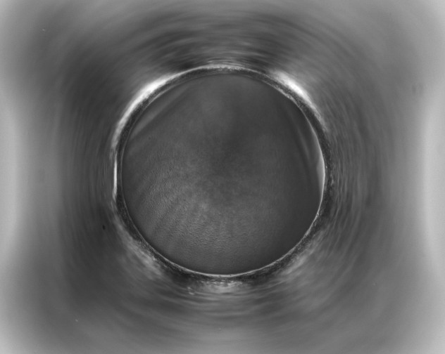 X0000087061323200705021209