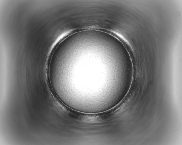 X0000087061325200705021209