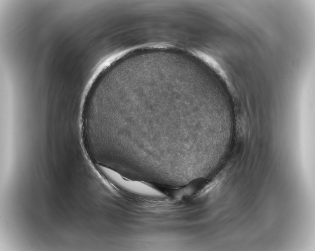 X0000087061327200705021209