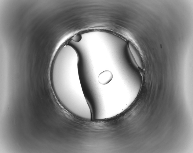 X0000087061328200705021209