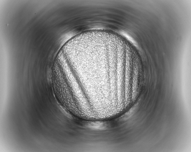 X0000087061329200705021209