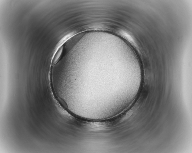 X0000087061330200705021209