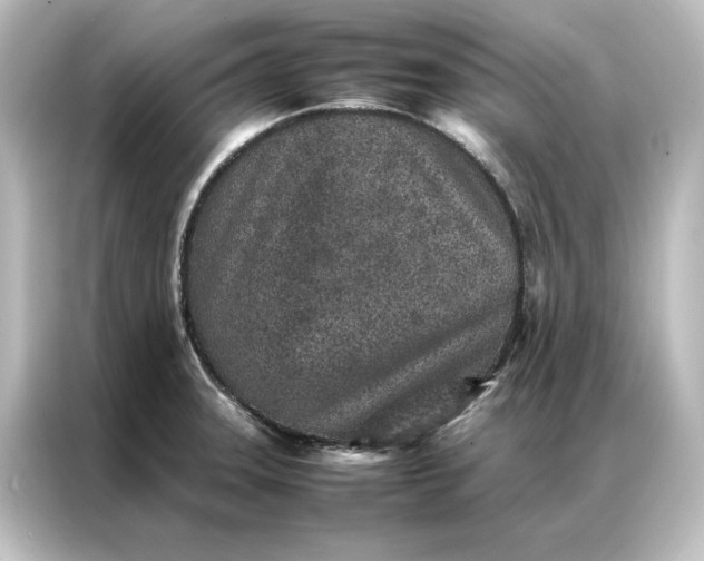 X0000087061331200705021209