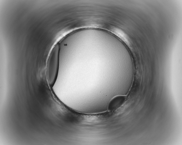 X0000087061332200705021209