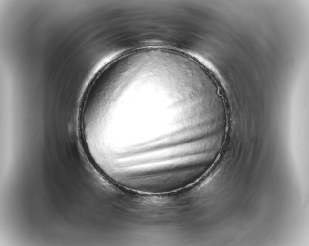 X0000087061333200705021209