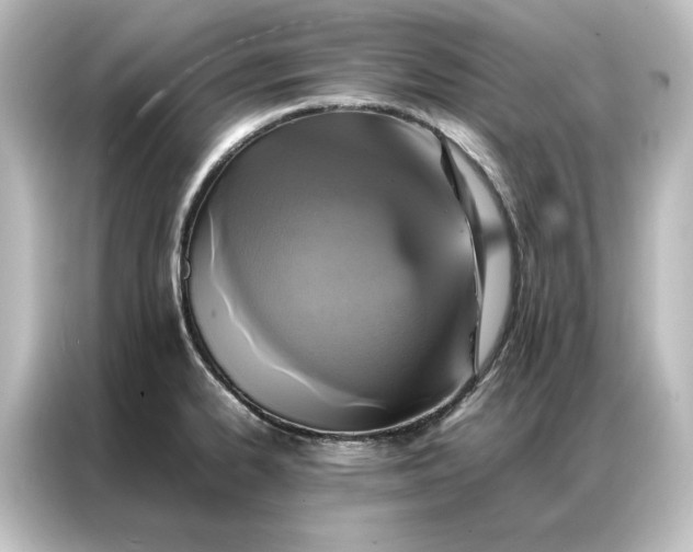 X0000087061334200705021209