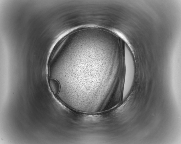 X0000087061335200705021209