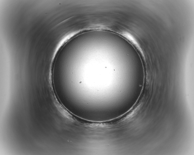 X0000087061336200705021209