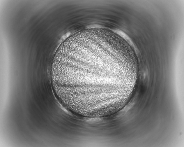 X0000087061337200705021209