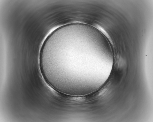 X0000087061339200705021209