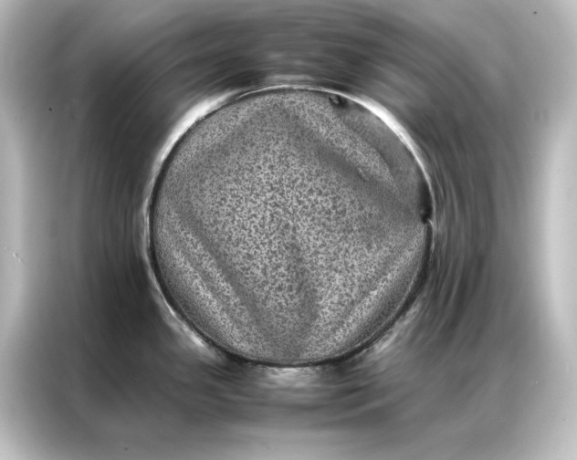 X0000087061341200705021209