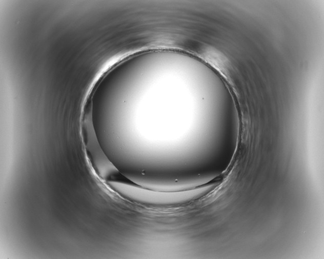 X0000087061342200705021209