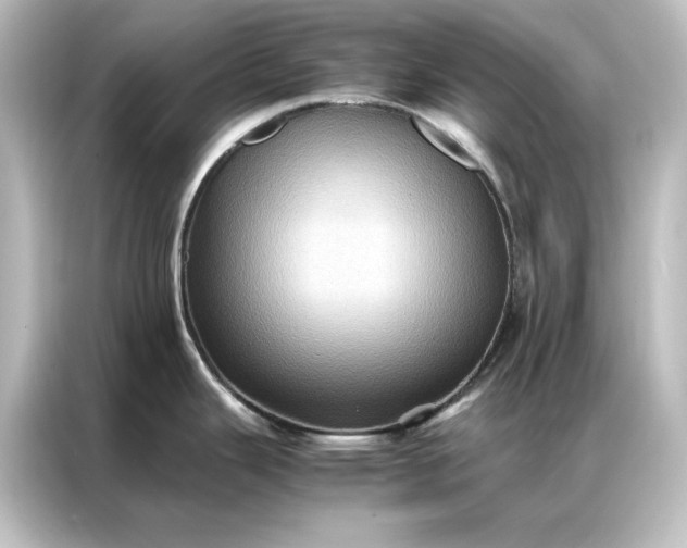 X0000087061343200705021209