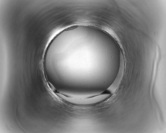 X0000087061344200705021209