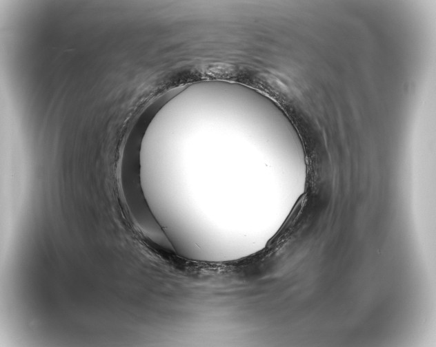 X0000087061345200705021208