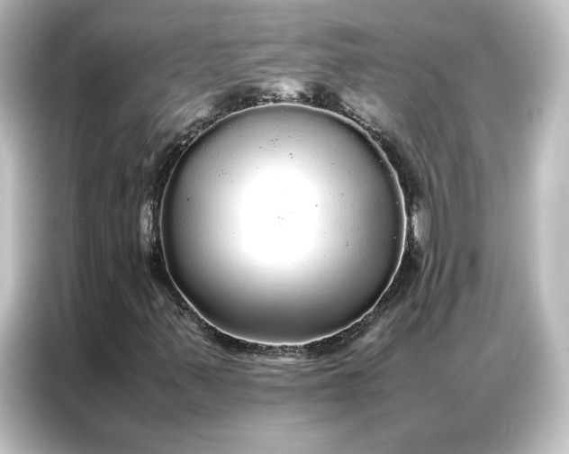 X0000087061347200705021208