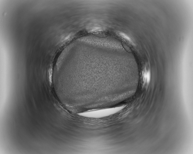 X0000087061348200705021208