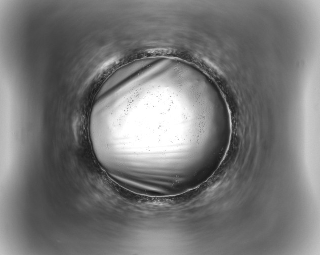 X0000087061351200705021208