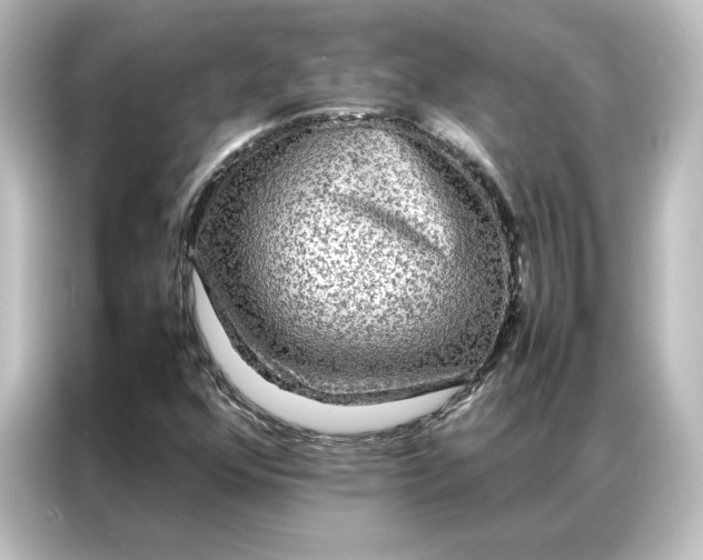 X0000087061352200705021208