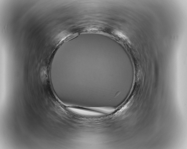 X0000087061353200705021208