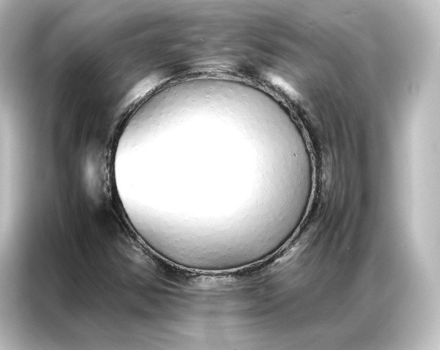 X0000087061354200705021208