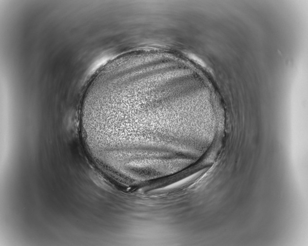 X0000087061355200705021208