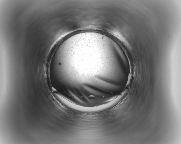 X0000087061356200705021208