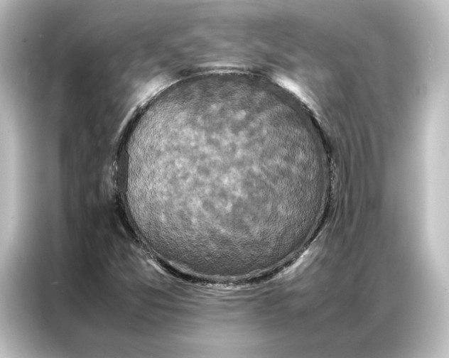 X0000087061357200705021208