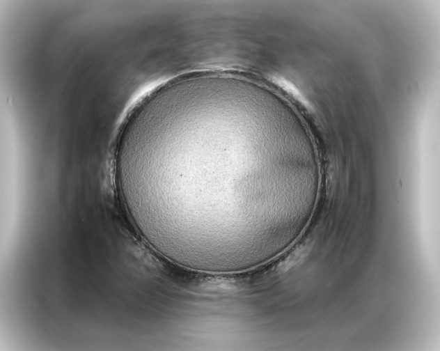 X0000087061358200705021208