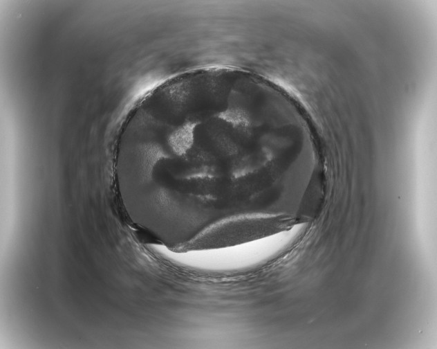 X0000087061359200705021208