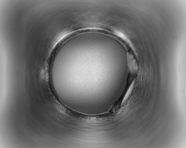 X0000087061360200705021208