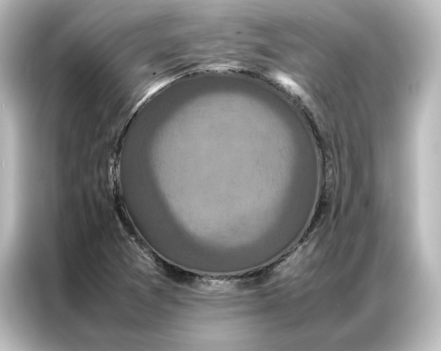 X0000087061361200705021208