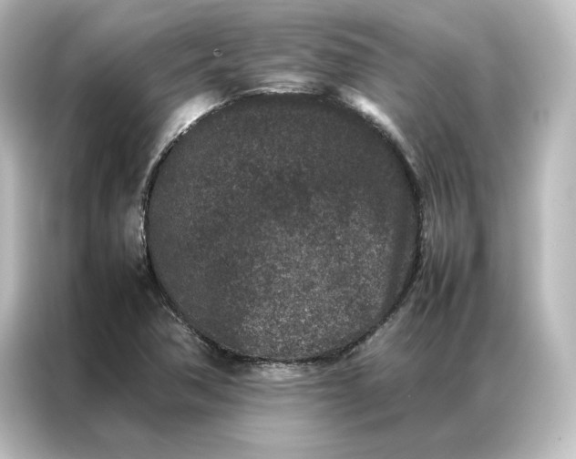 X0000087061362200705021208