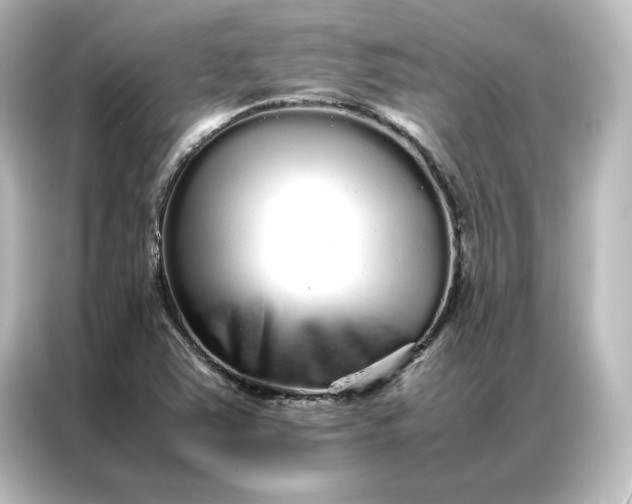 X0000087061363200705021208