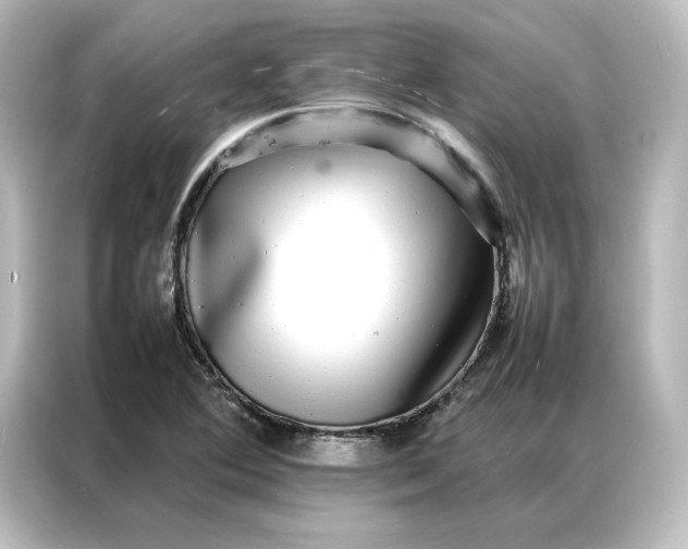 X0000087061364200705021208