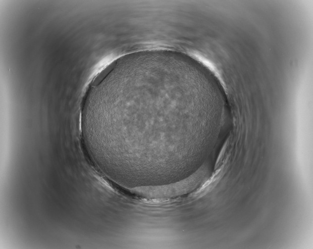 X0000087061365200705021208