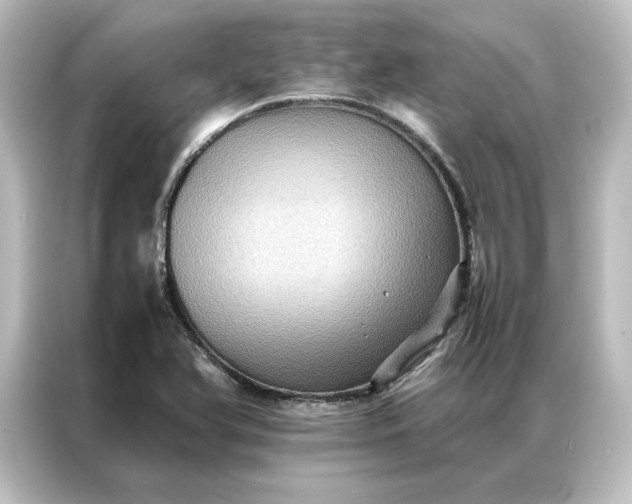 X0000087061366200705021208