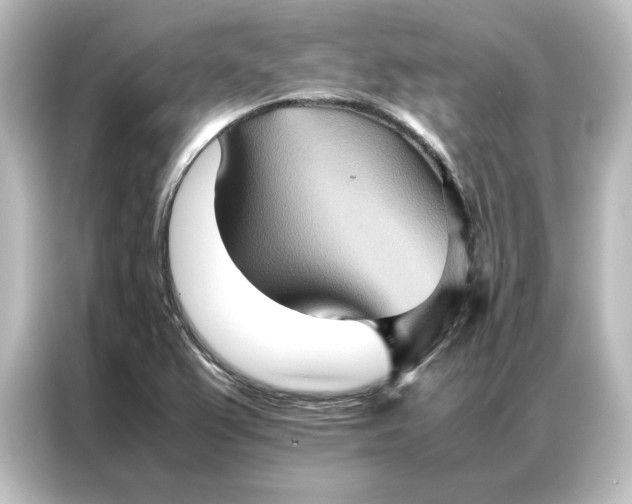 X0000087061367200705021208