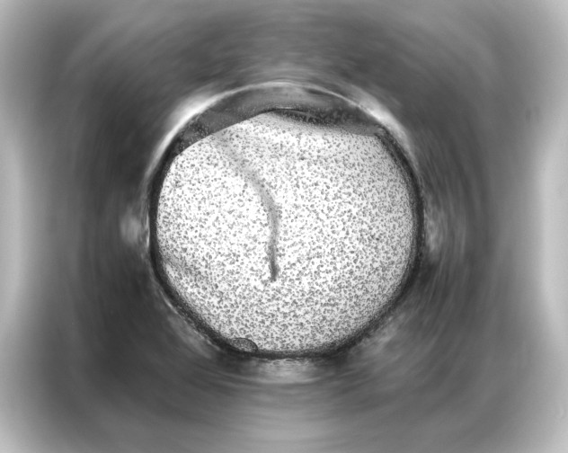 X0000087061368200705021208